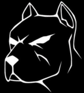 pitbull1.jpg