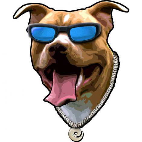 pitbull_head_72dpi.jpg